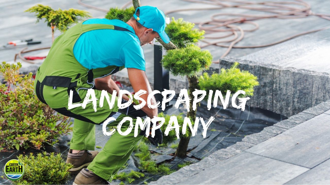 Questions to Ask your landscpaping company
