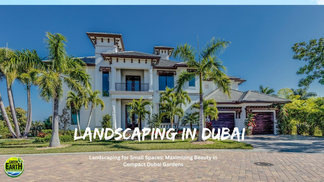 featured image:Small Space Landscaping in Dubai: Creative Ideas | Green Earth