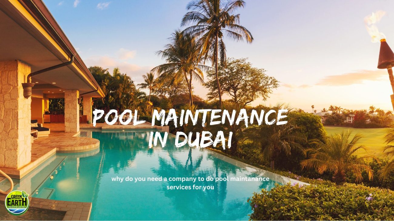 why do you need a company to do pool maintanance services for you
