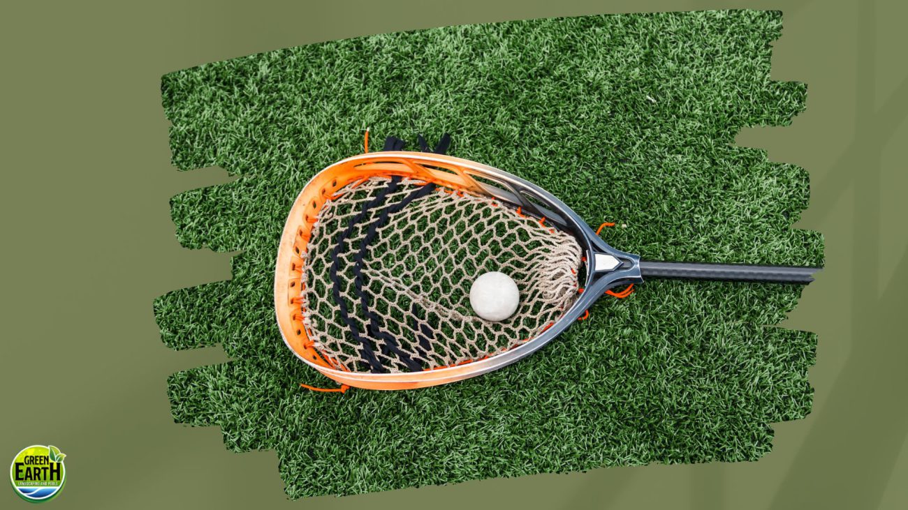 Xeriscaping Tips for Desert Gardens | Green Earth