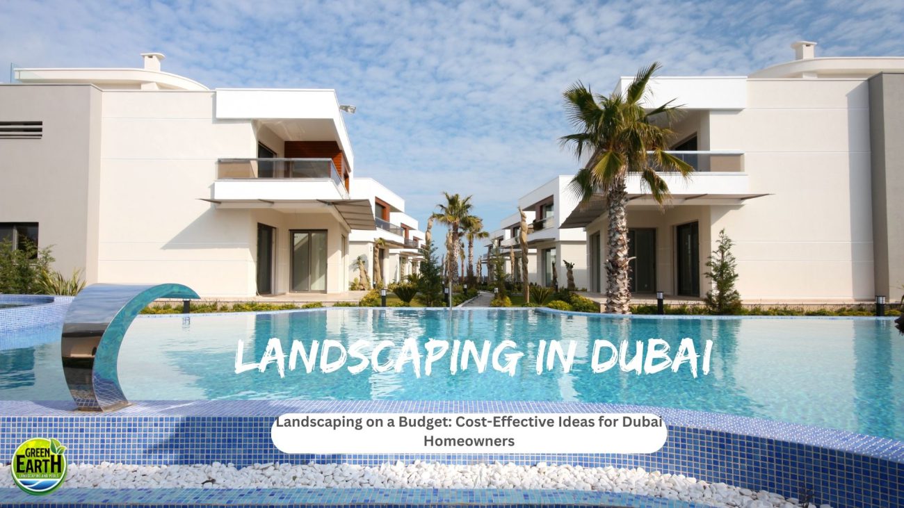 Designing Your Dream Dubai Garden on a Budget | Green Earth